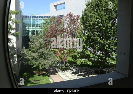 Vue depuis une fenêtre d'une cour intérieure avec des arbres à l'intérieur du parlement australien à Canberra en Capital Hill Banque D'Images