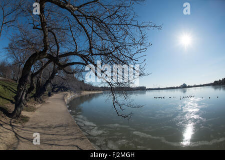 WASHINGTON DC — des cerisiers dormants bordent les rives du bassin de marée, qui est partiellement gelé pendant une vague de froid hivernale le 14 février 2016. Le Jefferson Memorial est visible au loin à travers la surface glacée de l'eau. Ces arbres sont au centre du festival annuel National Cherry Blossom Festival au printemps. Banque D'Images
