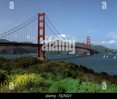 Voiliers sous le GOLDEN GATE BRIDGE - SAN FRANCISCO, CA Banque D'Images