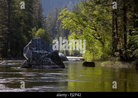 Les rochers de granit de la MERCED - Yosemite National Park, Californie Banque D'Images