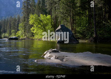 Les rochers de granit de la MERCED - Yosemite National Park, Californie Banque D'Images