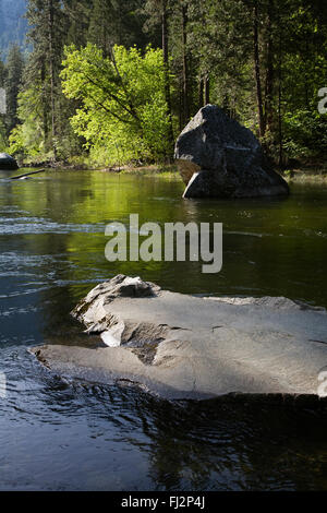 Les rochers de granit de la MERCED - Yosemite National Park, Californie Banque D'Images