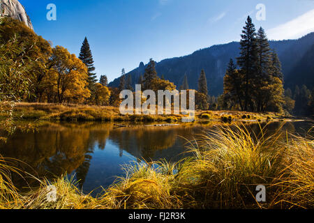 La Merced River et la vallée de Yosemite en automne - Yosemite National Park, Californie Banque D'Images