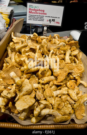 Sélection de Wild BC Hedgehog Mushrooms ,Hydnum repandum, au marché public de Granville Island, à Vancouver, Colombie-Britannique. Banque D'Images