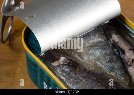 Une macro image de conserves, prêt à manger, Marocain de Sardines à l'huile de tournesol a présenté dans son ouverture l'étain. Banque D'Images
