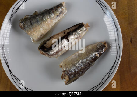 Une macro image de conserves, prêt à manger, Marocain de Sardines à l'huile de tournesol présenté sur une assiette blanche. Banque D'Images