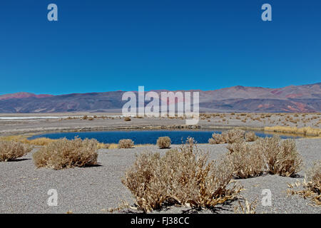 Ojos del Campo, Salar de Antofalla, Argentine Banque D'Images