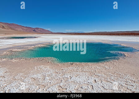 Ojo de mar, Salar de Arizaro, Argentine Banque D'Images