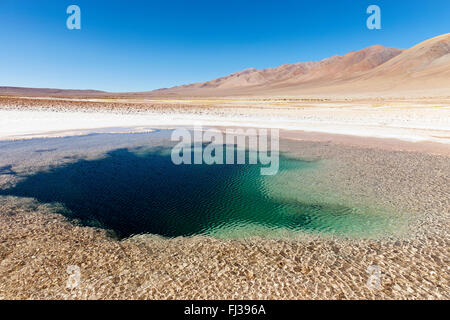 Ojo de mar, Salar de Arizaro, Argentine Banque D'Images