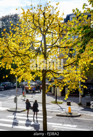 Arbre avec feuillage d'automne, 2 filles sur la rue piétonne, Strasbourg, Alsace, France, Europe Banque D'Images