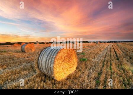 Magnifique coucher de soleil sur un champ de bottes de foin près de Newquay en Cornouailles Banque D'Images