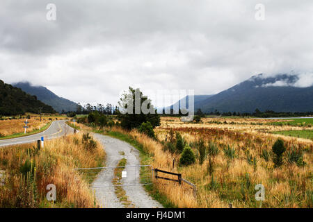 Vue depuis l'intérieur du train TranzAlpine en île du Sud, Nouvelle-Zélande Banque D'Images