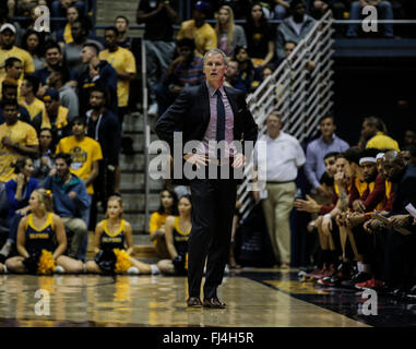 Berkeley, CA, USA. 28 Février, 2016. L'entraîneur-chef Andy USC Enfield pendant le match de basket-ball NCAA entre USC Trojans et le California Golden Bears perdu au pavillon de divortialité Hass Berkeley Californie Thurman James/CSM/Alamy Live News Banque D'Images