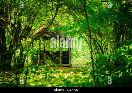 Ancienne en bois gazebo dans le jardin vert de la forêt du parc. Pergola de jardin avec forêt en arrière-plan. Banque D'Images