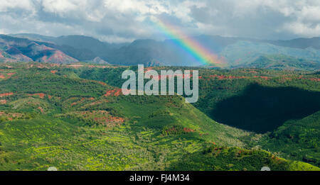 Arc-en-ciel sur waimea canyon area in Banque D'Images