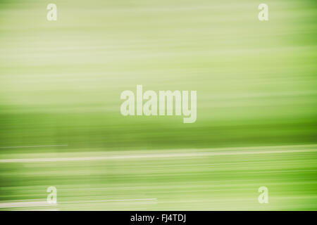 Light Abstract Natural Green Background Motions. Banque D'Images