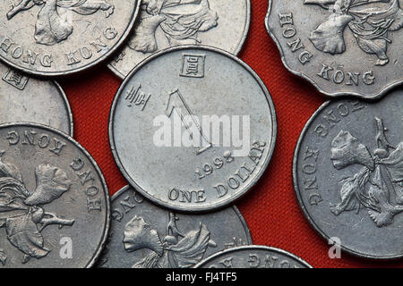 Coins de Hong Kong. Un dollar de Hong Kong. Banque D'Images