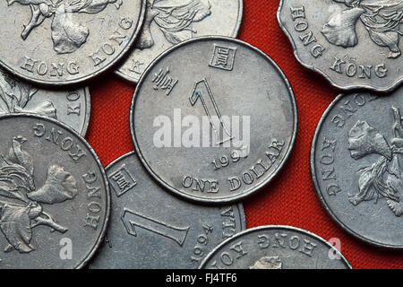 Coins de Hong Kong. Un dollar de Hong Kong. Banque D'Images