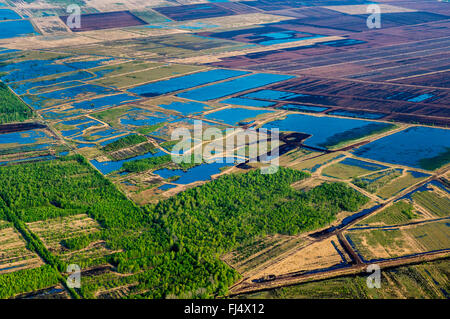 Dans Dreiecksmoor Diepholzer Moorniederung, vue aérienne, l'ALLEMAGNE, Basse-Saxe Oldenburger Muensterland Banque D'Images