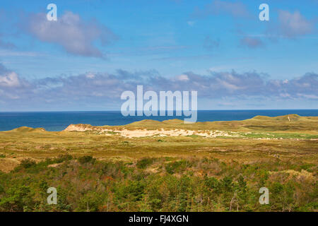 Vue du phare à Lobjerg gras-paysage de dunes cultivés de la côte de la mer du Nord, le Danemark, l'Juetland, ton Parc National, Lobjerg Banque D'Images