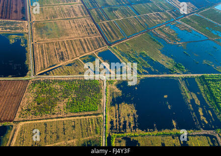 Dans Dreiecksmoor Diepholzer Moorniederung, vue aérienne, l'ALLEMAGNE, Basse-Saxe Oldenburger Muensterland Banque D'Images