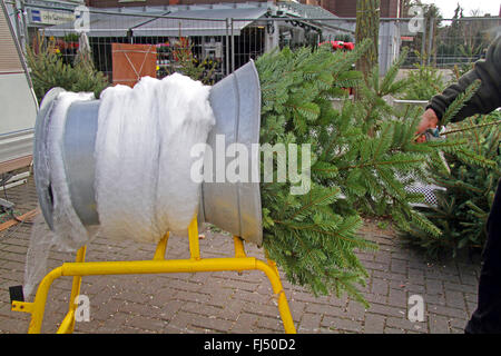 Compensation automatique de l'arbre de Noël, Allemagne Banque D'Images