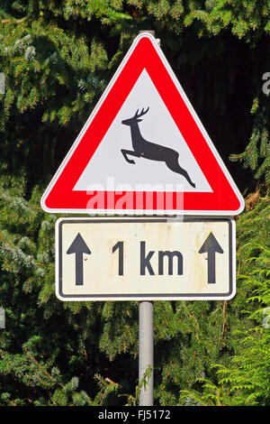 Deer route du col de signe, Allemagne Banque D'Images