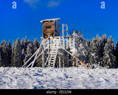 Soulevées masquer en hiver avec le givre, la République tchèque, l'Erz Mountains Banque D'Images