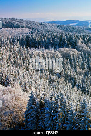 Vue depuis tower pour Schombergturm d'épinettes enneigées près de Sundern, Allemagne, Rhénanie du Nord-Westphalie, Rhénanie-Palatinat, Sundern Banque D'Images