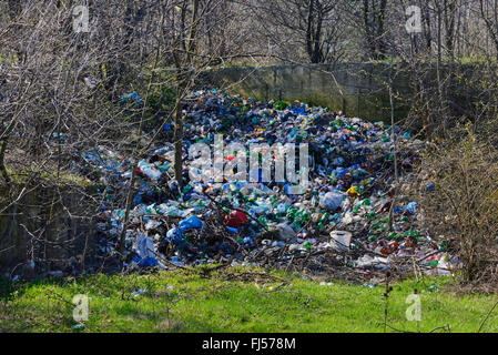 Déchets dans une forêt, Roumanie, Karpaten, Kreuzburg an der Bistritz Banque D'Images