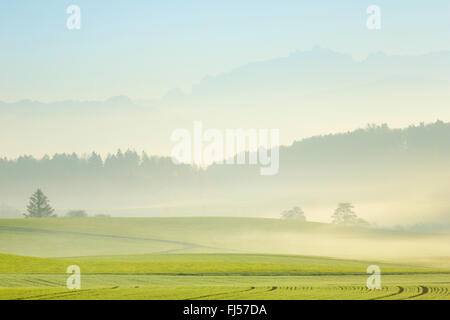 Saentismassif, Suisse, Zuercher bernois, Appenzell Banque D'Images