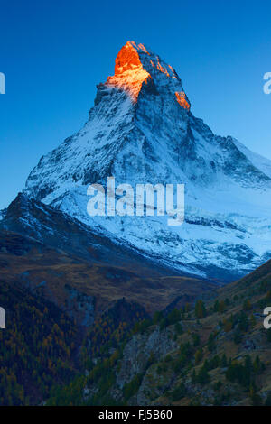 Cervin avec alpenglow, Suisse, Valais Banque D'Images