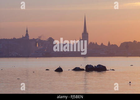 Vue sur la baie de Tallinn et de la vieille ville de spires de Pirita, Tallinn, Estonie Banque D'Images