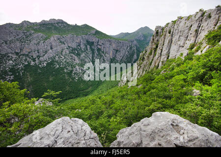 Velika Paklenica canyon dans la montagne du Velebit, la Croatie, le parc national de Paklenica Banque D'Images