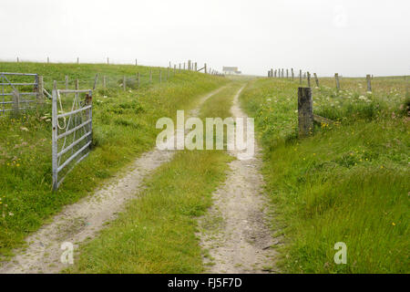 La voie agricole sur une journée grise dans Askernish, South Uist, Hébrides extérieures, en Écosse Banque D'Images