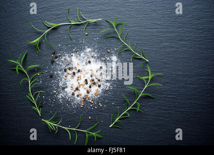 Sel, poivre et romarin sur une planche à découper Banque D'Images