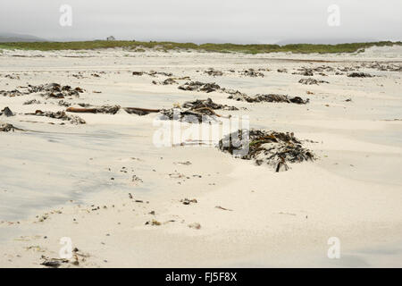 La plage à Askernish sur un fond gris et breezy day. Une seule maison à l'horizon derrière les dunes. South Uist, Hébrides extérieures, en Écosse Banque D'Images