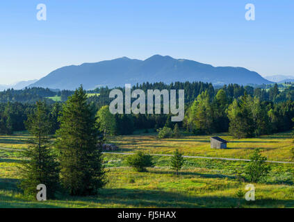 Vue de Breiten Filz aux Alpes, en Allemagne, en Bavière, Oberbayern, Haute-Bavière Banque D'Images