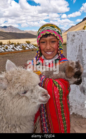 L'alpaga (Lama pacos, Vicugna pacos), garçon péruvienne en costume traditionnel avec les alpagas portrait d'un enfant, le Pérou, La Raya Banque D'Images