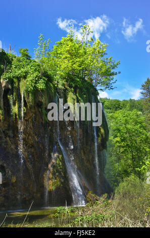 Cascade dans le parc national des Lacs de Plitvice, Croatie, le parc national des Lacs de Plitvice Banque D'Images