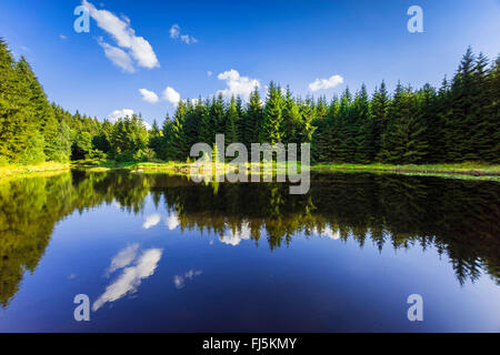 Lac de stockage Poehl en été, l'Allemagne, la Saxe, Jocketa, Talsperre Poehl Banque D'Images