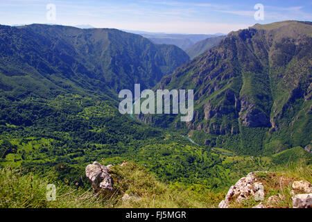 Vue de Curevac à Tara River Canyon, le plus long et le plus profond canyon d'Europe, Monténégro, parc national de Durmitor Banque D'Images