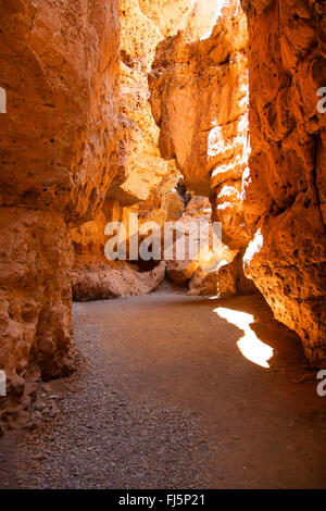 La rivière Tsauchab éphémère dans le Canyon de Sesriem, Namibie, le Parc National Namib Naukluft Sesriem, Banque D'Images