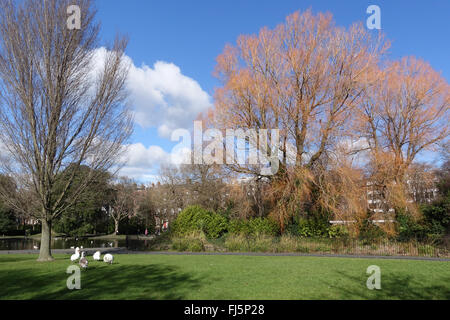 St Stephen Green Dublin Irlande -1 Banque D'Images