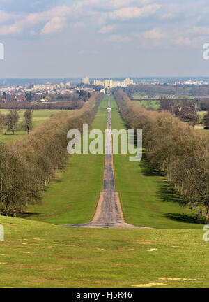 Cité médiévale du château de Windsor dans le comté Royal de Berkshire, Angleterre de la longue marche dans le Grand Park Banque D'Images