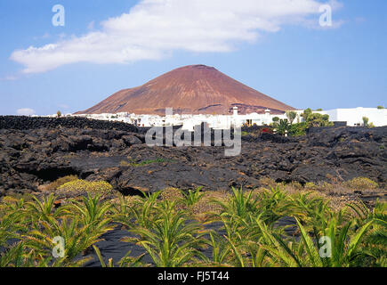 Aperçu de la lave et du village. Tahiche, île de Lanzarote, îles Canaries, Espagne. Banque D'Images