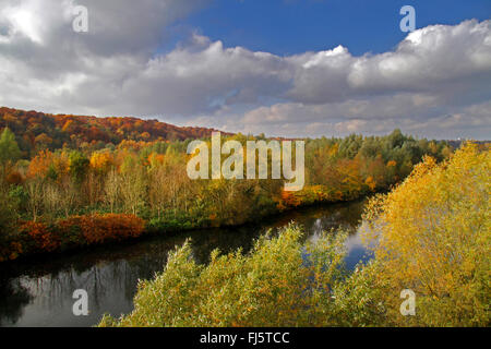 Nature Reserve Heisinger Aue en automne, l'Allemagne, NRW, Ruhr, Essen Banque D'Images