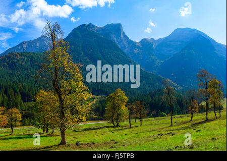 Grosser Ahornboden et Karwendel en automne, l'Autriche, le Tyrol Banque D'Images