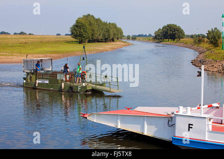 Location traversier sur Altrhein, Allemagne, Rhénanie du Nord-Westphalie, Bas-rhin, Clèves Banque D'Images