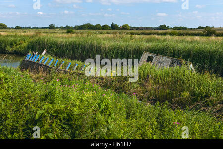 Bateau en bois à l'abandon de la moitié submergé dans les eaux de la rivière Hull entouré par une végétation sur un matin de printemps Banque D'Images